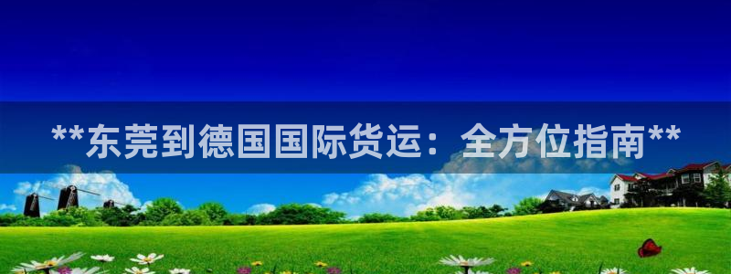 尊龙ag旗舰厅官网登录：**东莞到德国国际货运：全方位指